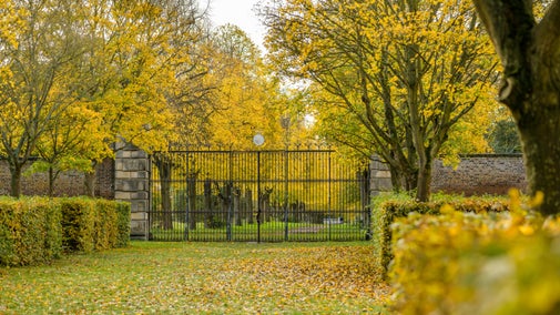 South gates and avenue in autumn at Ham House and Garden, Surrey with autumnal trees and hedges with yellow leaves